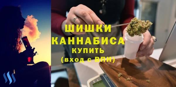дмт Тавда