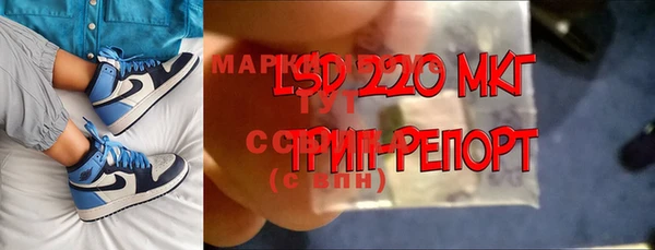 дмт Тавда