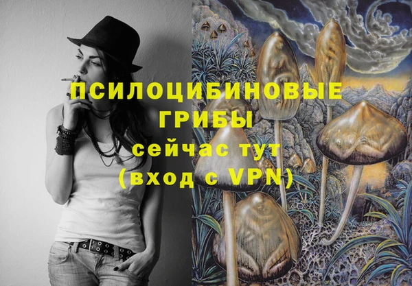 мдпв Тайга