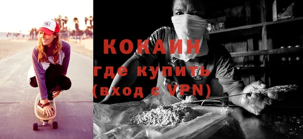 мдпв Тайга
