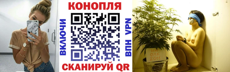 Бошки Шишки White Widow Купить Новомосковск